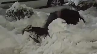 Dude lays out snowman during quarantine snowfall