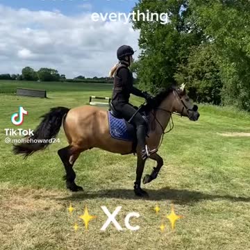 Horse learning to jump