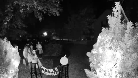 Grinch Karen And Her Spawn Steal Halloween