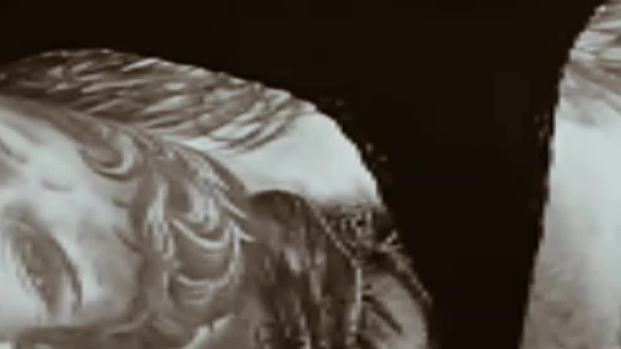 Taitoo video to girl ke body par