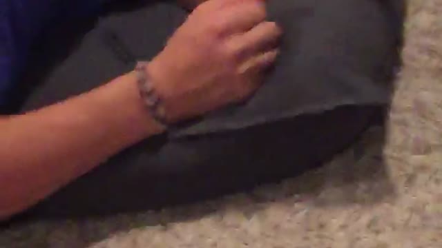Three teens in a door room cheers and drink alcohol while friend in blue on floor lays next to them