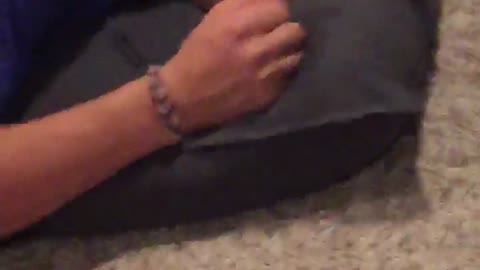 Three teens in a door room cheers and drink alcohol while friend in blue on floor lays next to them