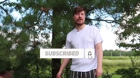 Mr beast's challenge