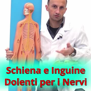 I Nervi che Causano Dolore dalla Schiena all'Inguine