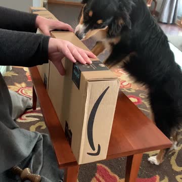 Amazon packaging fail