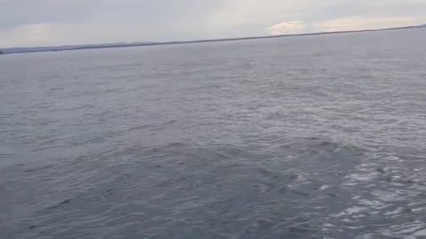 tell me what you would do on this boat