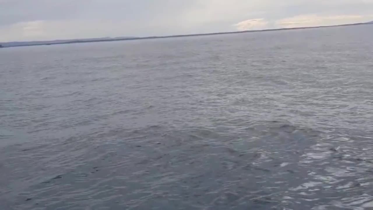 tell me what you would do on this boat