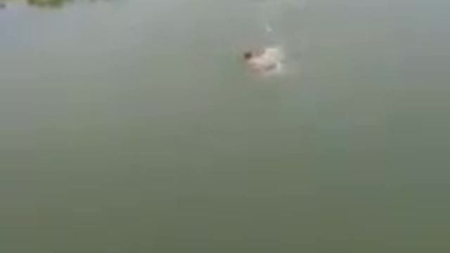 Dog saves drowning man, act of courage