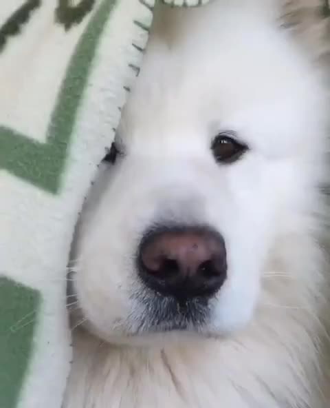 My look is ouuuuuuu this world 😂😂😂😂