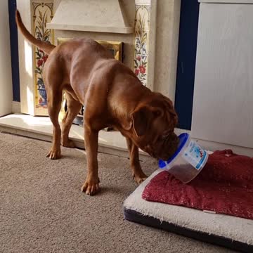 Can't get the lid off