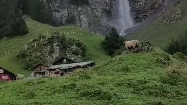 nature is very beautiful hello