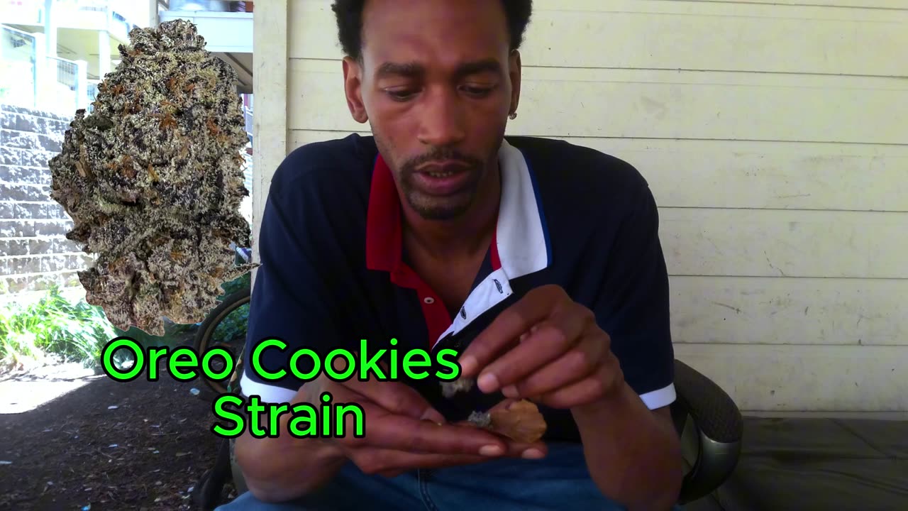 Oreo Cookies Strain Review