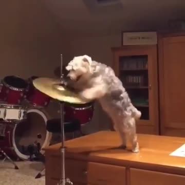 Getting ready for your concert