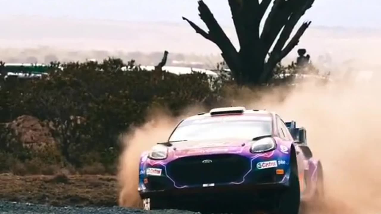 World rally