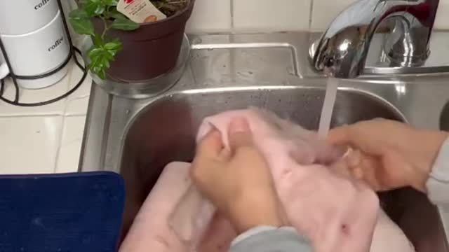 sabias de el gusano de el puerco