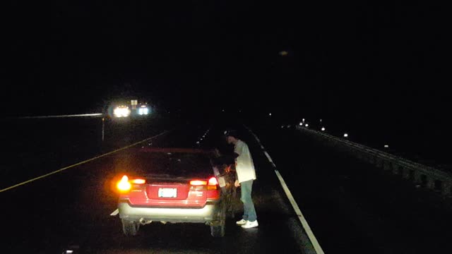 Vehicles Block Drunk Driver on Road When He Stops to Pee