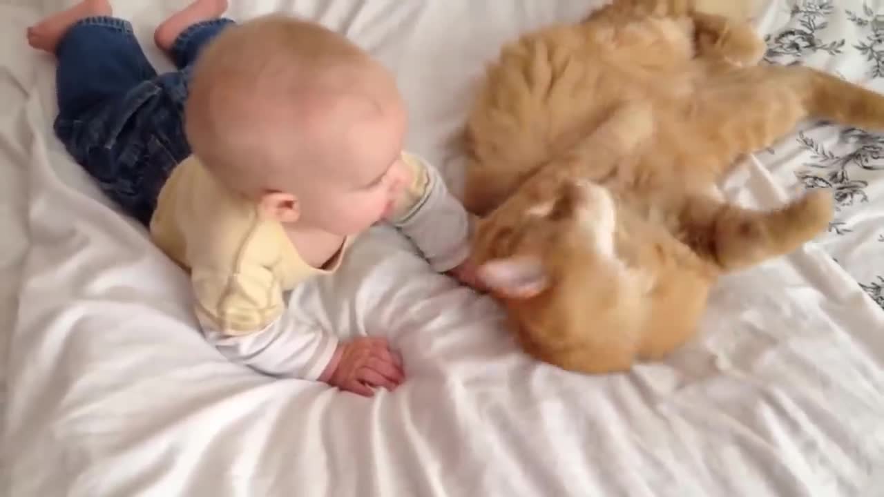 Cats Meeting Babies for the FIRST Time - [NEW] Compilation