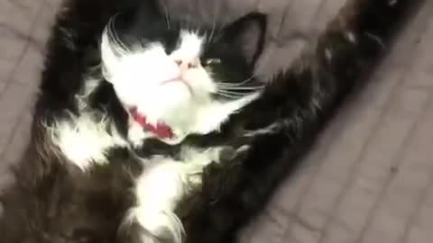 Leave me alone, I'm sleeping.