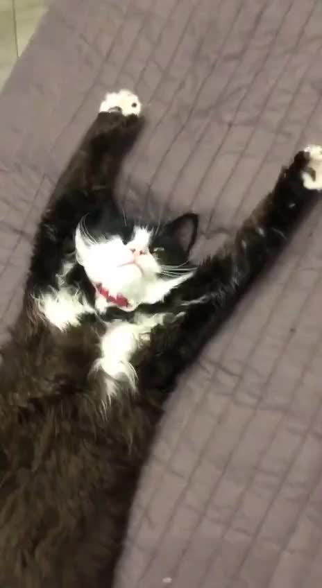 Leave me alone, I'm sleeping.