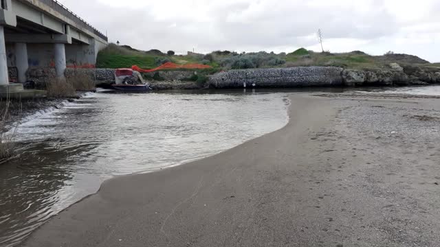 River mouth fanstatic lateral view