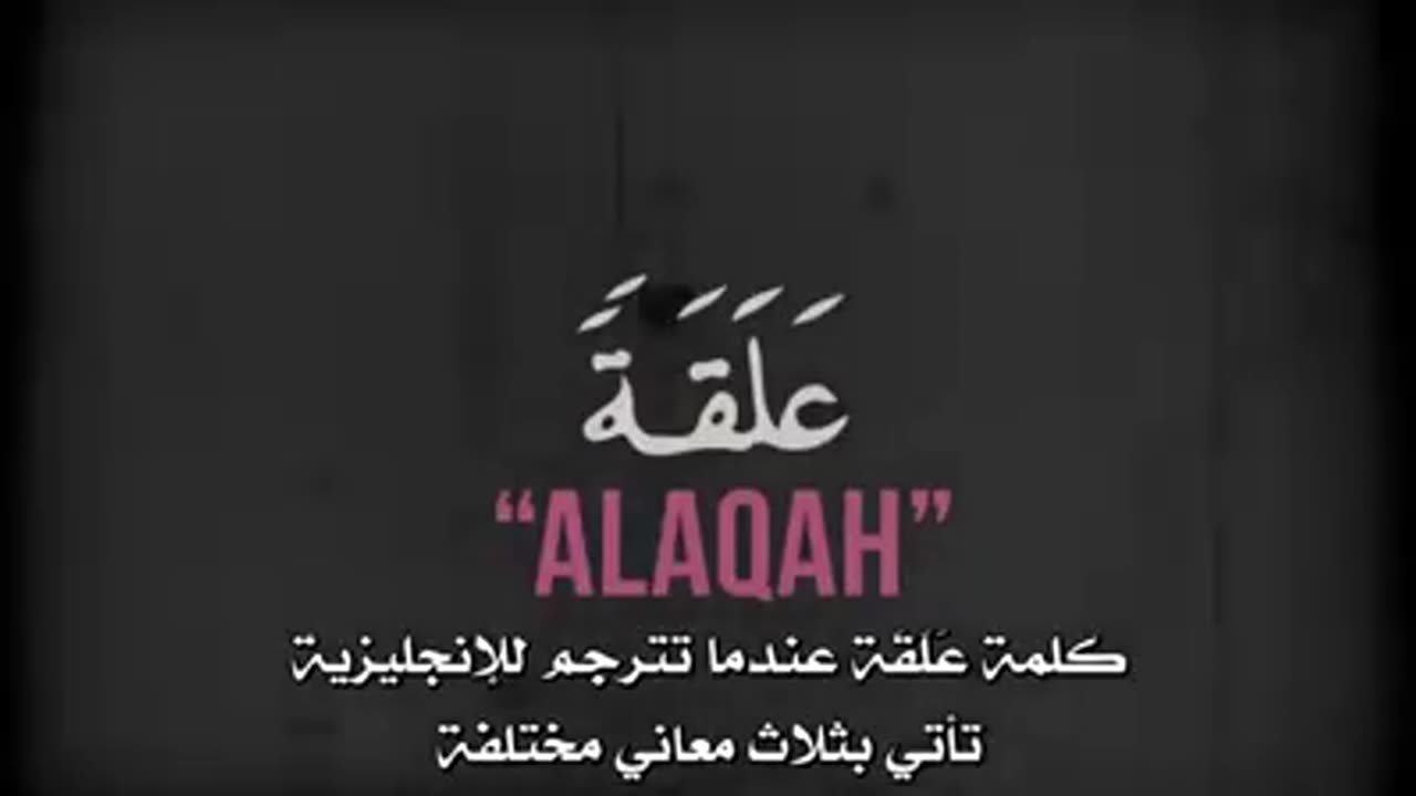 What found in Holy Quran