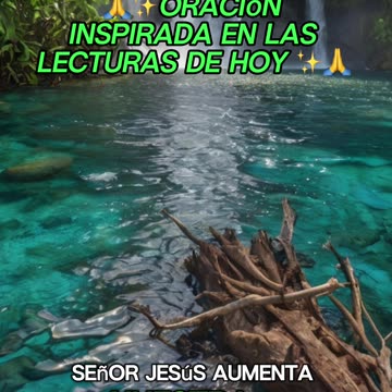 🙏✨Oración Inspirada en las Lecturas de Hoy ✨🙏