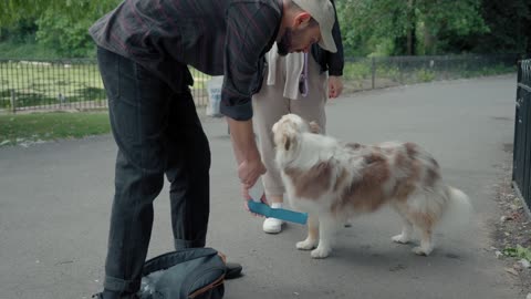 A couple feeds a dog in the park