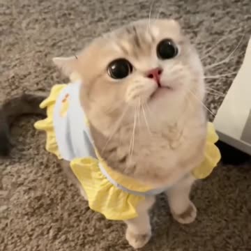 I’m not trying to piss him off, he just doesn’t want me to hug his girlfriend 🌚