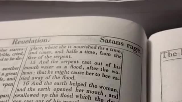 BIBLES
