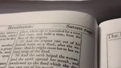 BIBLES