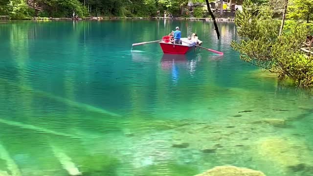 The Famous Lake BLAUSEE🇨🇭 📍BERNER OBERLAND🇨🇭
