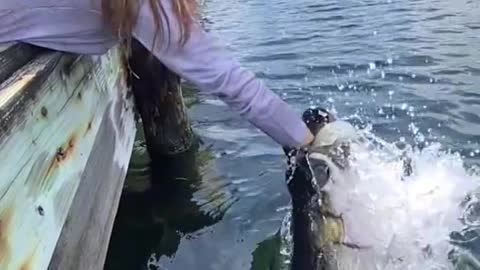 How to catch a fish