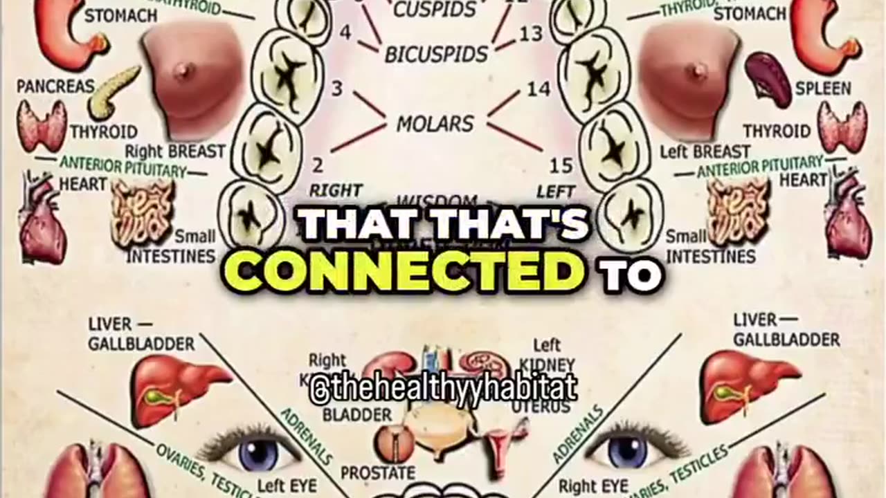 How your teeth affect the rest of your body 🦷