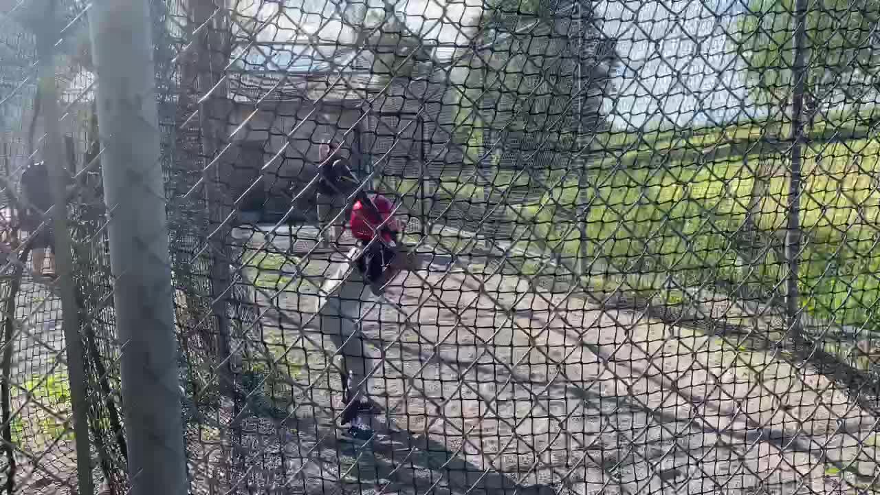 Yankees vs Cardinals. (Little League Baseball)