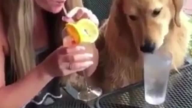 67- Cute, cute and happy as they should be #funny