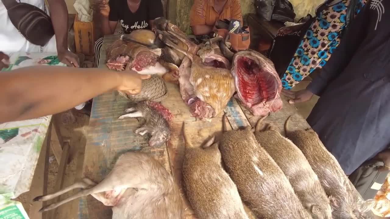 UNBELIEVABLE!!Africa BUSHMEAT Eaters, A Look at Nigeria's Culture