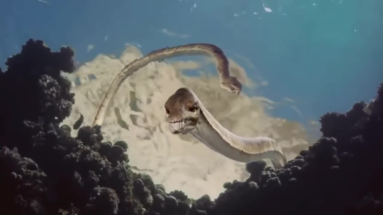 Ancient Sea Creatures - Documentary