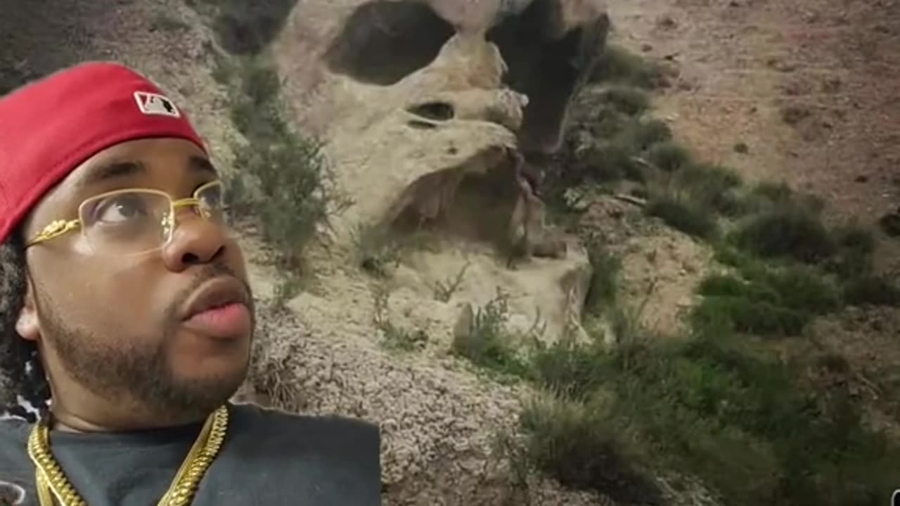 There is no coincidence~What you're looking at are”gigantic petrified” beings and it's a clear proof they hide this truth and replace it with dinosaurs