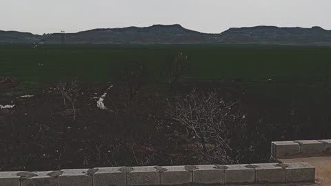 تصوير عفوي 😅
