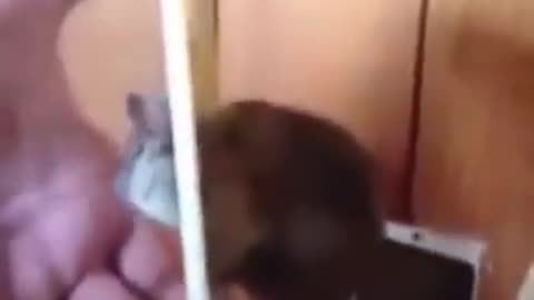 A mouse got stuck in the socket