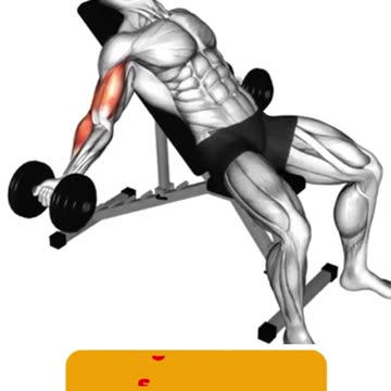 Wider Biceps Workout #bicepworkout #gymmotivation #widerback #shortvideo #shorts #fitnessjourney