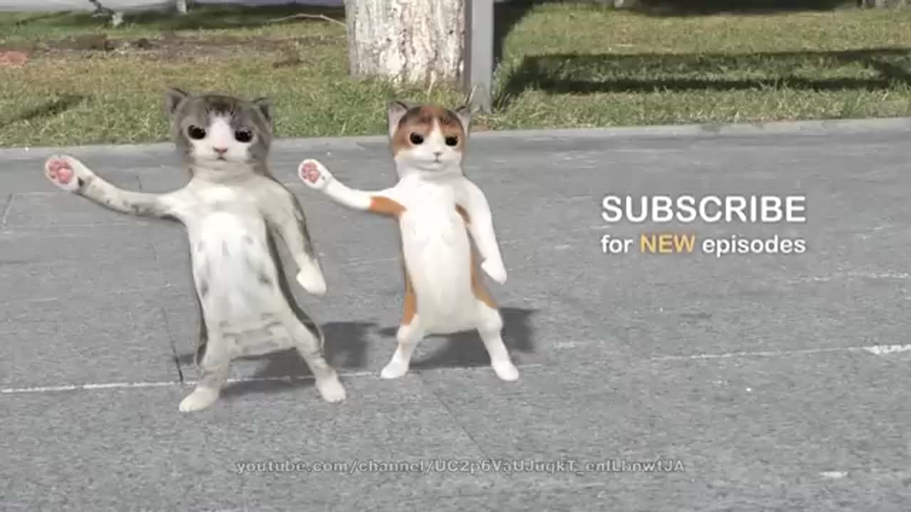 Musicjoye_ bancing cats with remix song