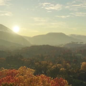 Welcome to Europe :) Hunter Call of the Wild