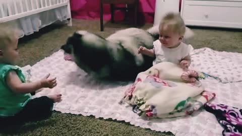 little kids having fun with the 🐕