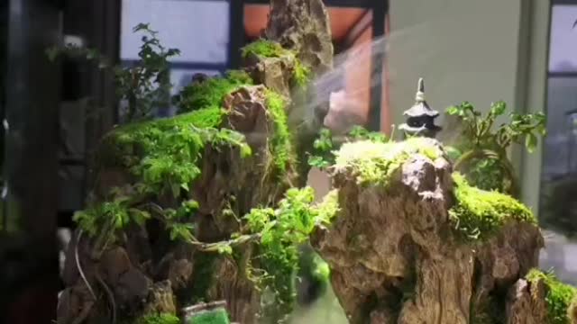 Micro landscape with Traditional Chinese characteristics