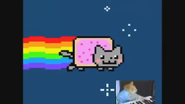 Nyan Cat ft. Keyboard Cat