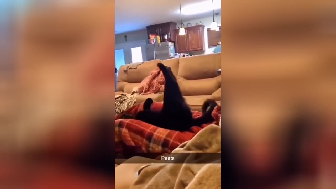 Try not to Laugh