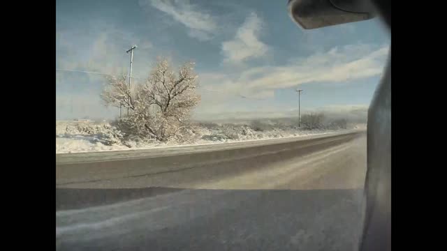 Barely Dodging a Dog Crossing Icy Road