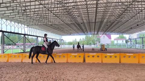 Beginner Equestrian