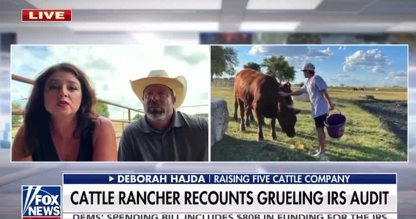 USA - Texas cattle ranchers discuss their grueling audit by the IRS.